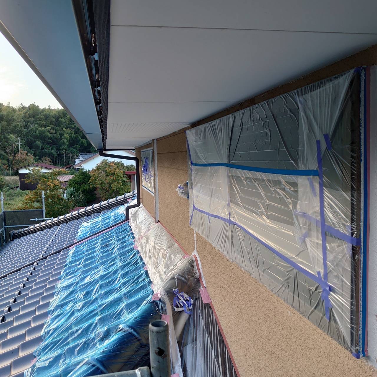 樋・水切り・軒天の様子3